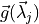 \vec{g}(\vec{\lambda}_j)